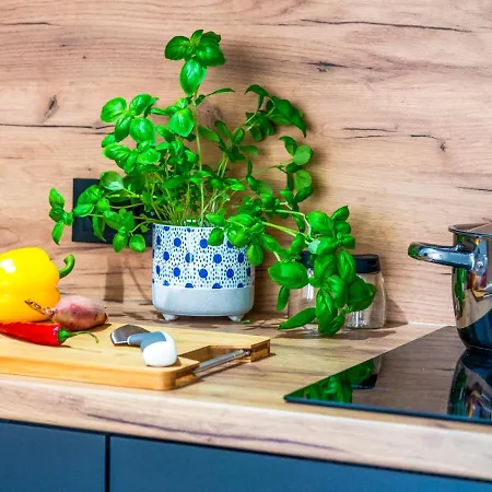 Tatrzanskie Doliny Apartamento Zakopane